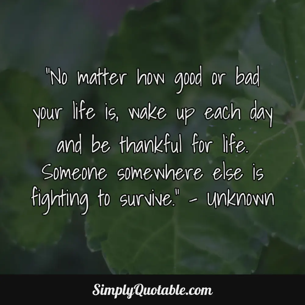 No matter how good or bad your life is wake up each day and be thankful for life Someone somewhere else is fighting to survive  Unknown