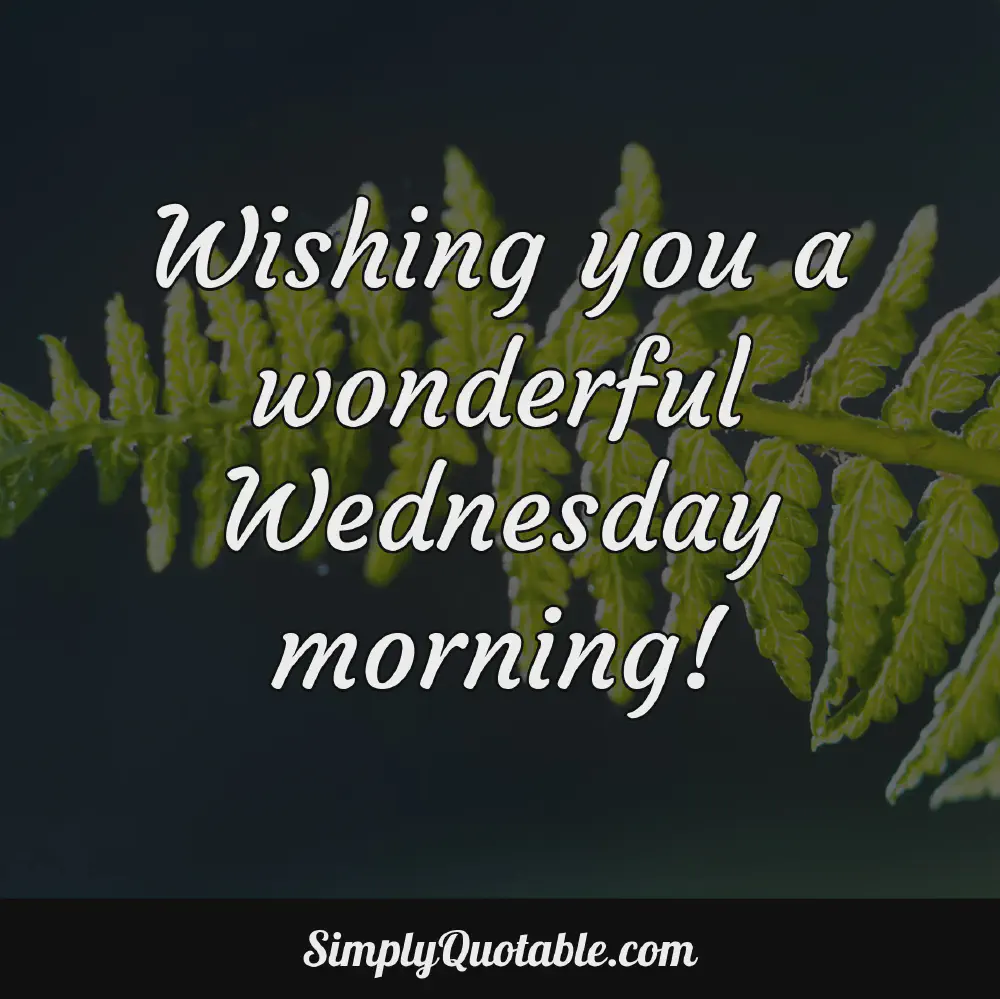 Wishing you a wonderful Wednesday morning