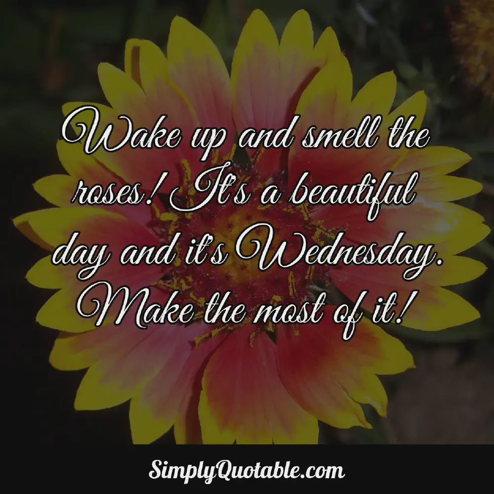 Wake up and smell the roses Its a beautiful day and its Wednesday Make the most of it