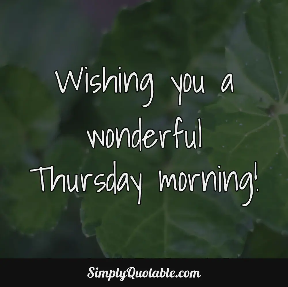 Wishing you a wonderful Thursday morning
