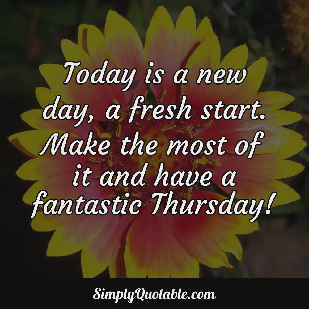Today is a new day a fresh start Make the most of it and have a fantastic Thursday